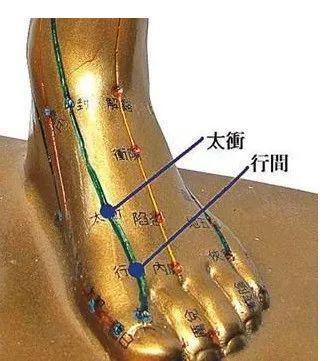 补气穴、补血穴42条穴性大总结不懂用穴查这里！